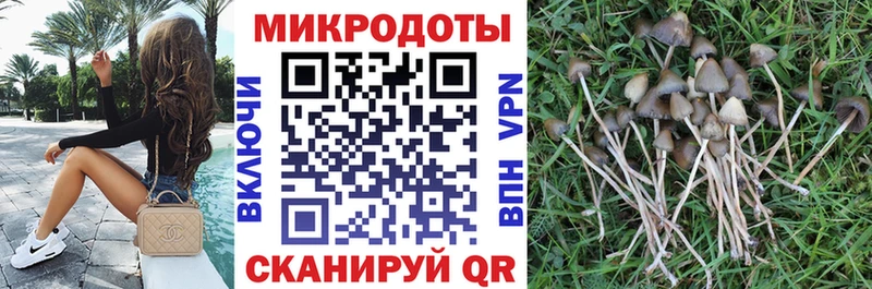 Галлюциногенные грибы ЛСД  наркота  blacksprut ссылки  Новотроицк 