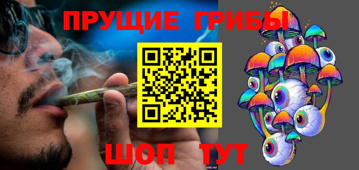 Псилоцибиновые грибы GOLDEN TEACHER  Вход с VPN  Новотроицк  Псилоцибиновые грибы ЛСД 