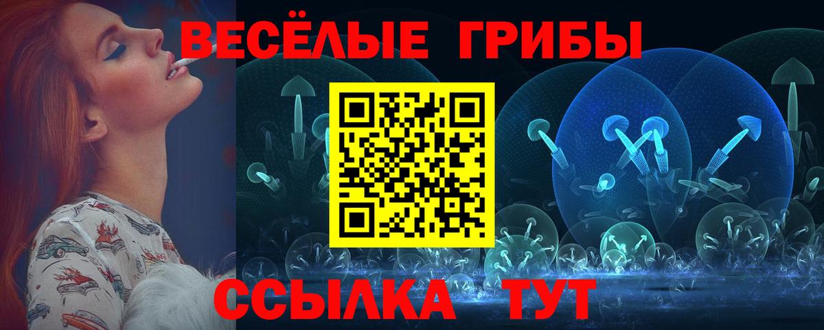 Галлюциногенные грибы GOLDEN TEACHER Новотроицк